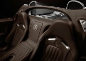 Bugatti Veyron Pur Sang